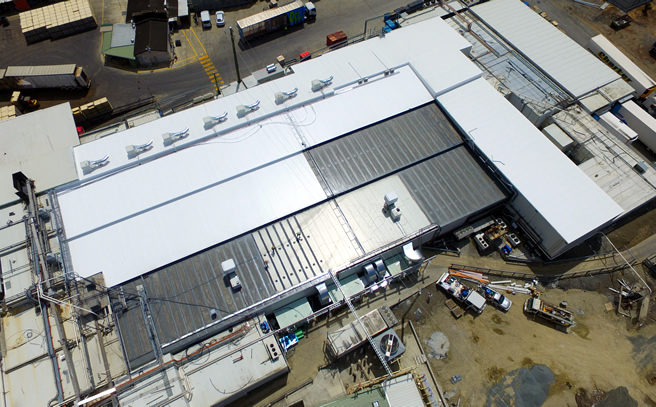 Nerang Park Poultry roof